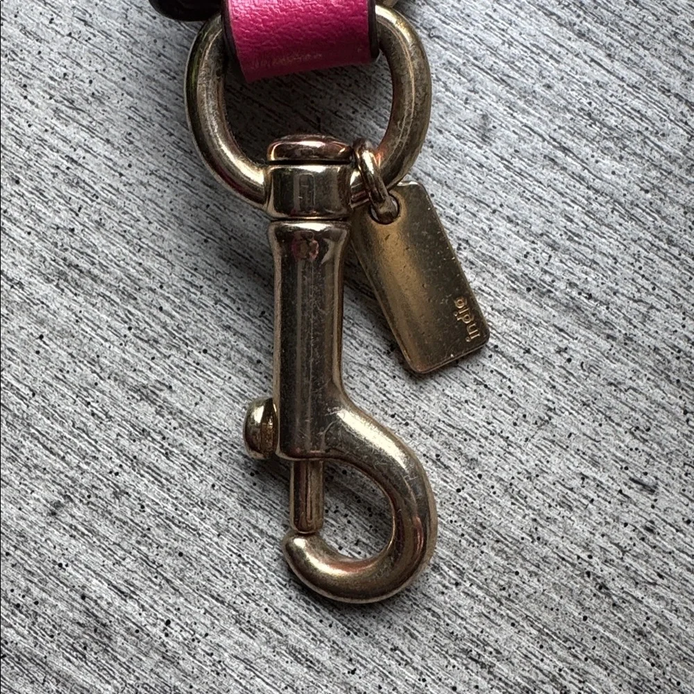 Coach Signature C Pink Striped Heart Charm Hang Tag Dogleash Snap Valet Keychain - Picture 7 of 8
